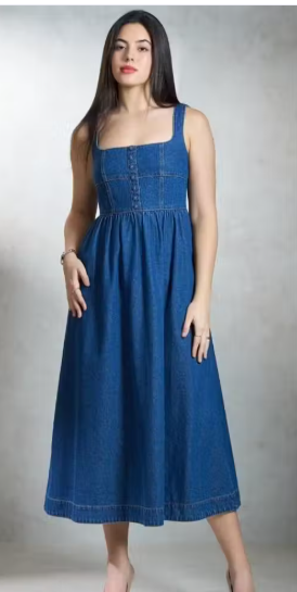 Women Printed Denim A-Line Dress