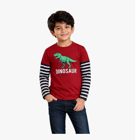 Boys' Printed Full Sleeve T-Shirt