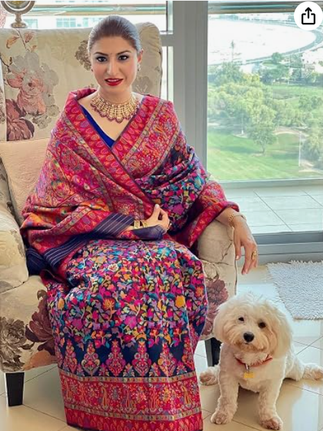 Handloom Pallu Saree